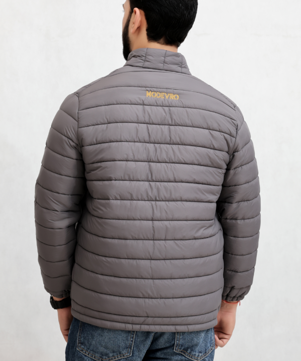 Gray Back