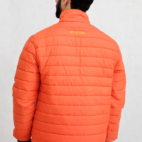 Orange Back