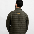 Olive Back