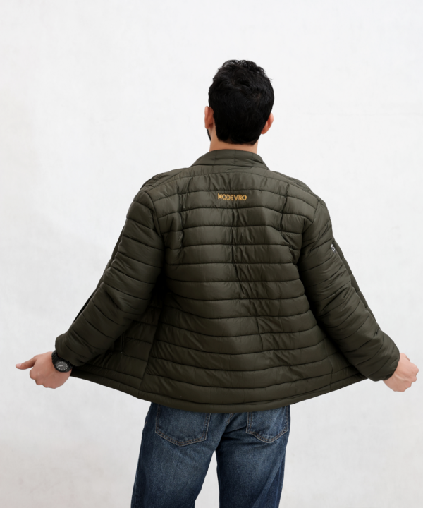 Olive Back 2 Olive Back 2
