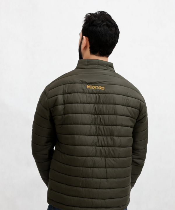 Olive Back Olive Back